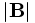 |\mathbf{B}|